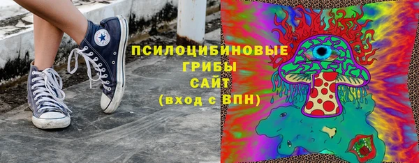 2c-b Богданович