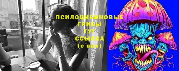 гидра Бронницы